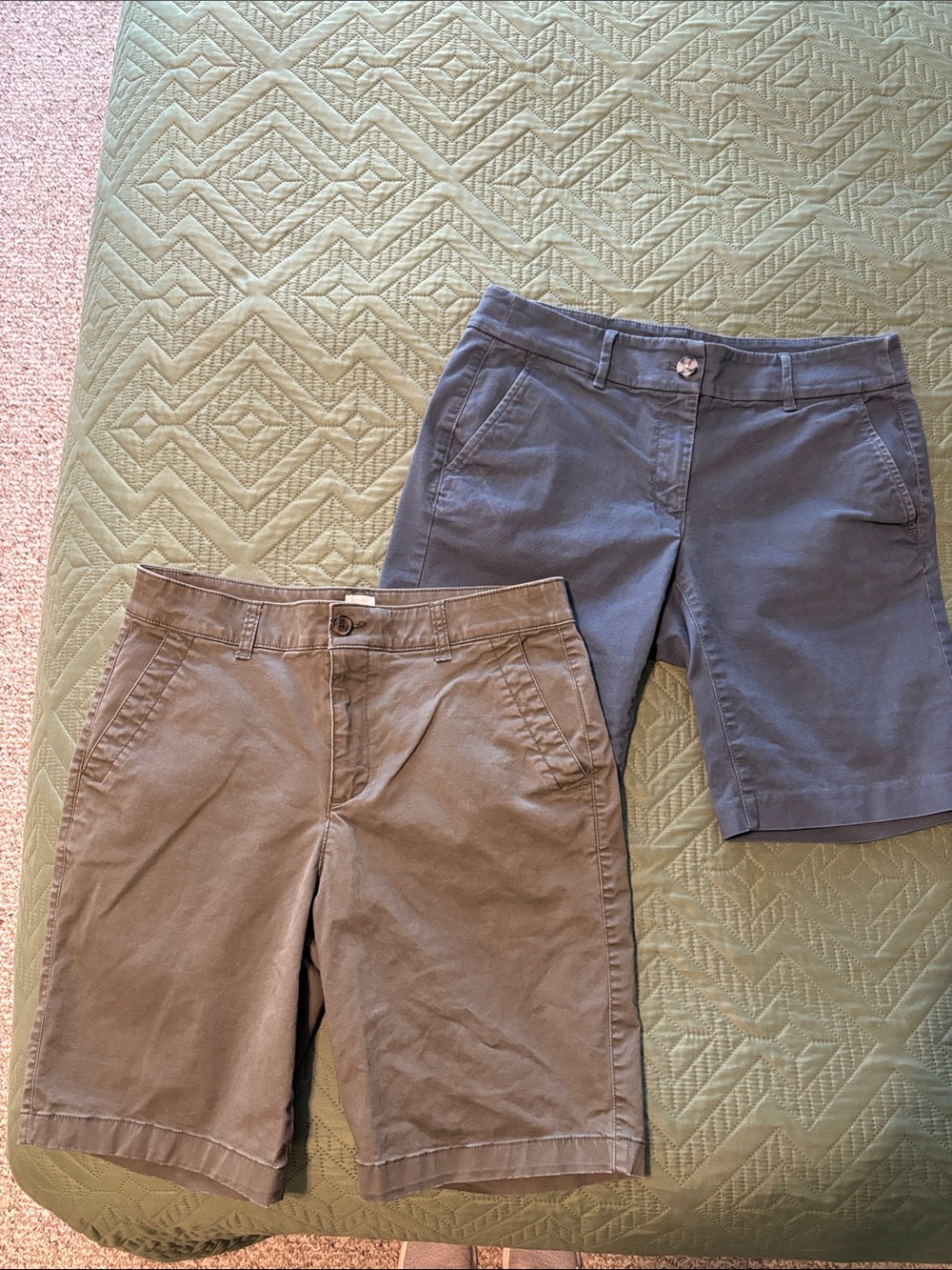 GAP Olive Green and LOFT Slate Blue Chino Shorts Duo